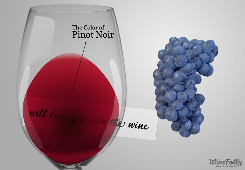 The Colour of Pinot Noir © Wine Folly