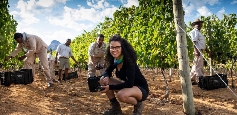 Kiara Scott in the vineyard. Image courtesy of Wines of South Africa.