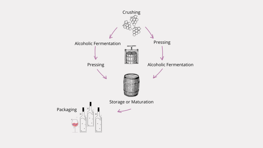 Winemaking The basics